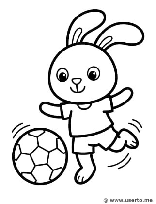 축구하는 토끼