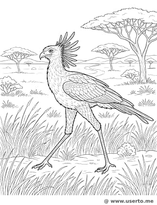 El Majestuoso Pájaro Secretario