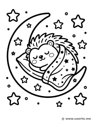 O cochilo na lua do ouriço