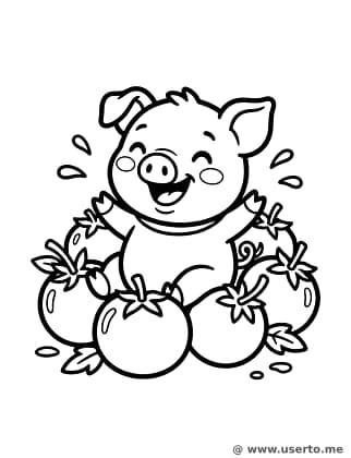 Grande Mergulho de Tomate