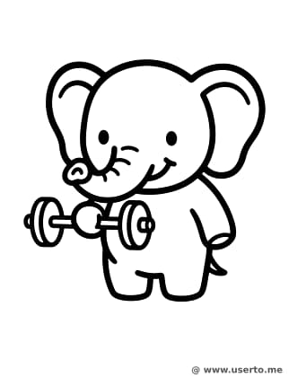 영차영차 코끼리