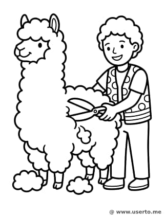 Happy Alpaca Shearer