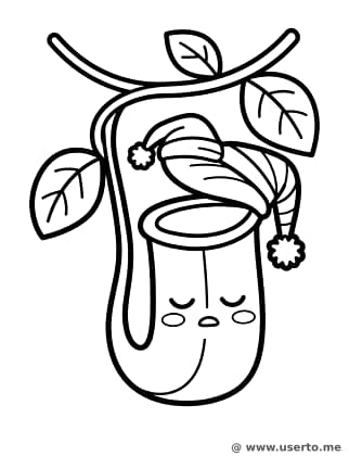 La Siesta de la Planta Jarra Dormilona