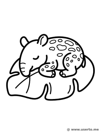 Sleepy Baby Tapir