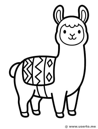 Berg-Lama im Zickzack