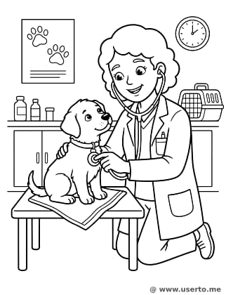 다정한 수의사 선생님