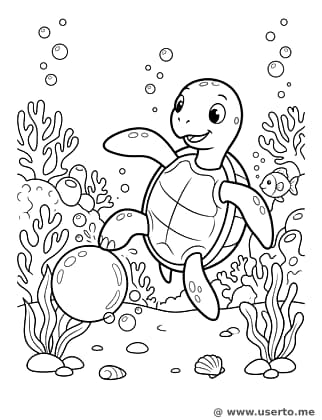 바다거북의 방울 축구