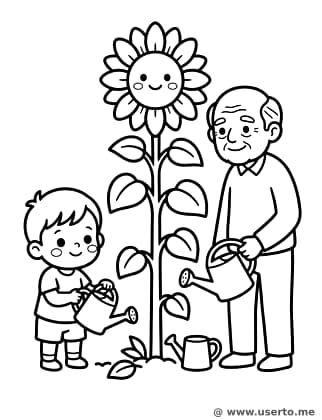 El girasol gigante del abuelo