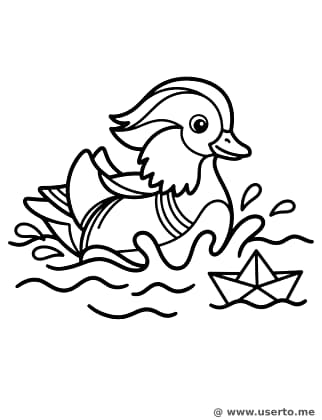 A Aventura do Patinho no Lago