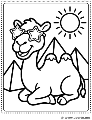 피라미드의 멋쟁이 낙타