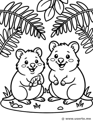 Quokkas Risueños en los Helechos