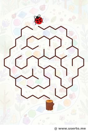 El camino caleidoscópico de la mariquita