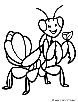 Fiesta de té de la mantis orquídea