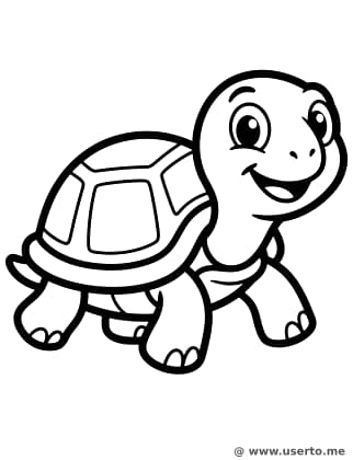 느릿느릿 꼬마 거북이