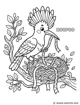 후투���의 리본 둥지