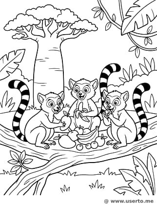 여우원숭이 가족의 과일 소풍