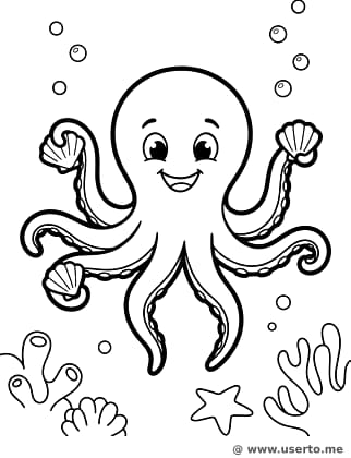 El Baile de las Conchas del Pulpo